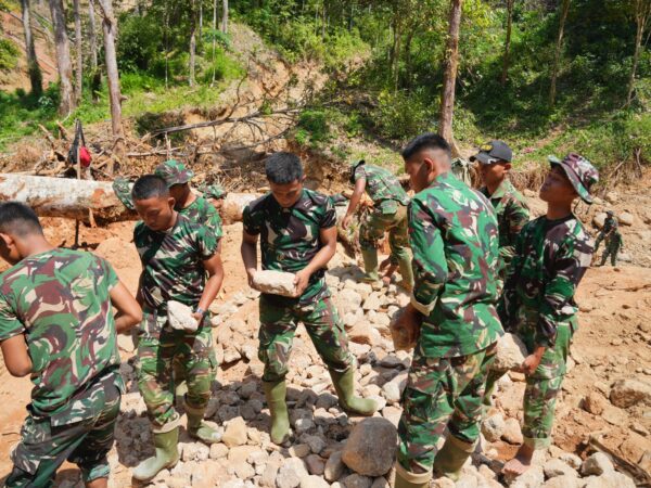 WhatsApp Image 2026 01 29 at 17.41.21 (2)