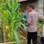 WhatsApp Image 2026 01 30 at 11.23.43