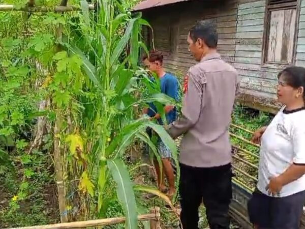 WhatsApp Image 2026 01 30 at 11.23.43