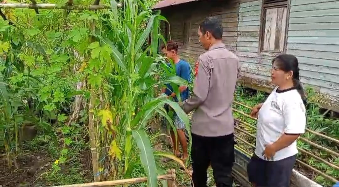 WhatsApp Image 2026 01 30 at 11.23.43