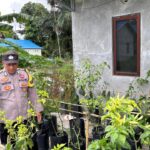 WhatsApp Image 2026 01 31 at 09.03.31