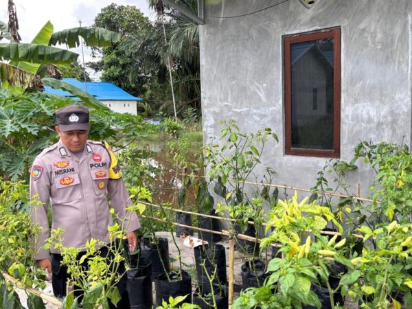 WhatsApp Image 2026 01 31 at 09.03.31