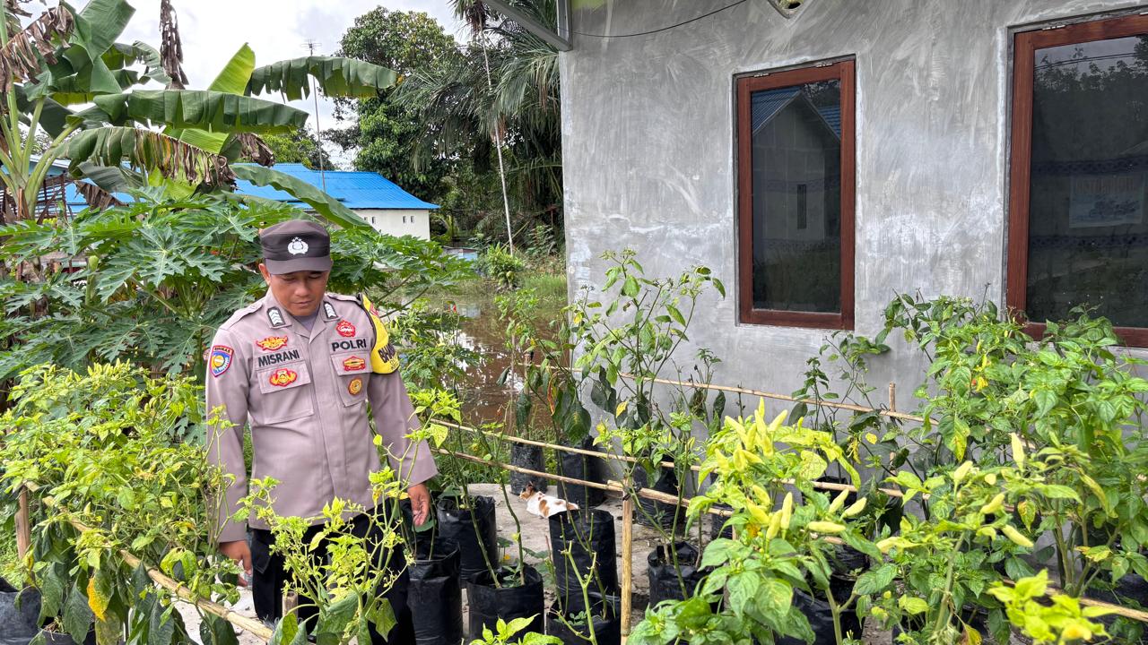 WhatsApp Image 2026 01 31 at 09.03.31