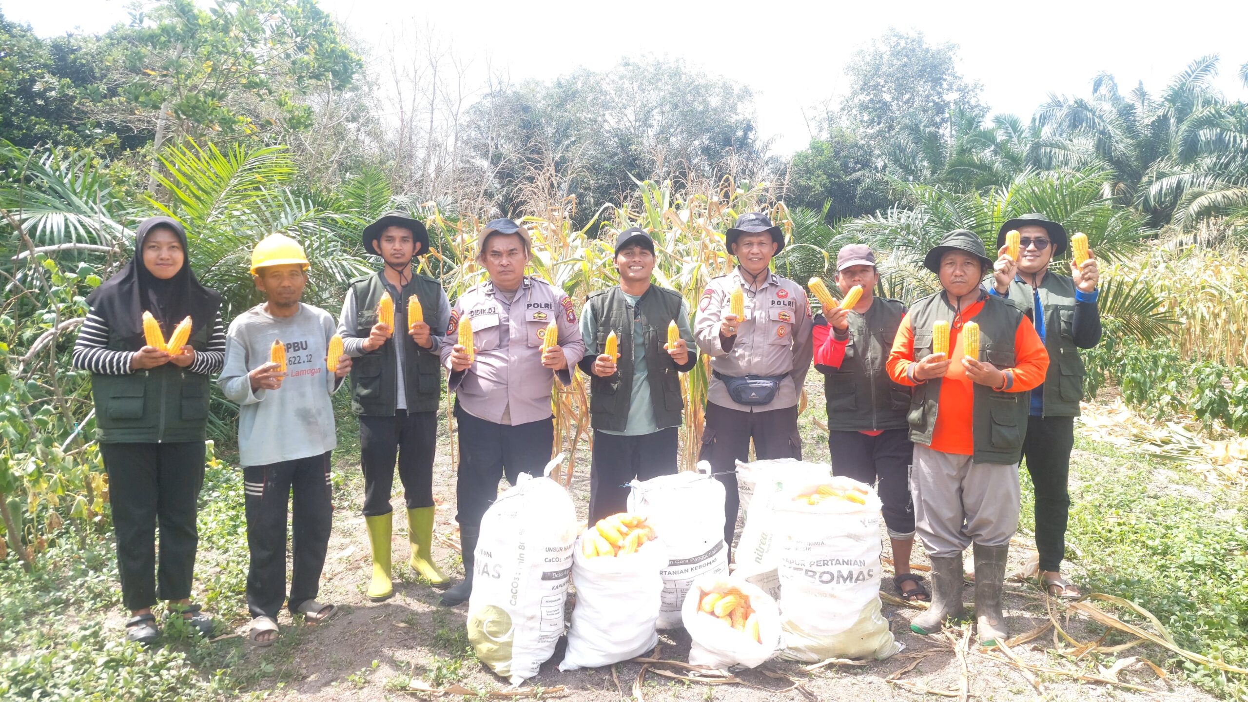 WhatsApp Image 2026 01 31 at 19.16.11