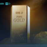 Dupoin indonesia (1)