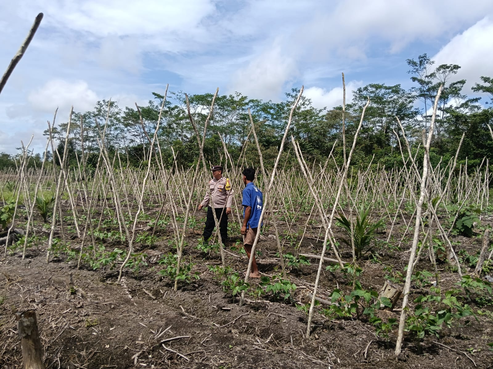 F8e0de6d 47a0 45b6 9f87 a207aefbf404