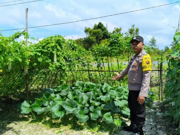 7bc2e28fff0e8bfaebfa375a6a90a160