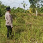 IMG 20250702 WA0030(4)