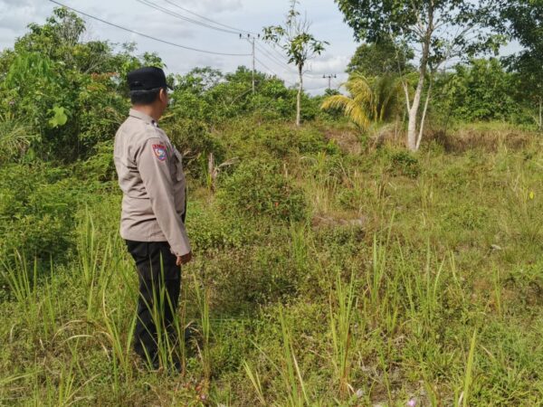 IMG 20250702 WA0030(4)