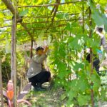 IMG 20250729 WA0027(1)