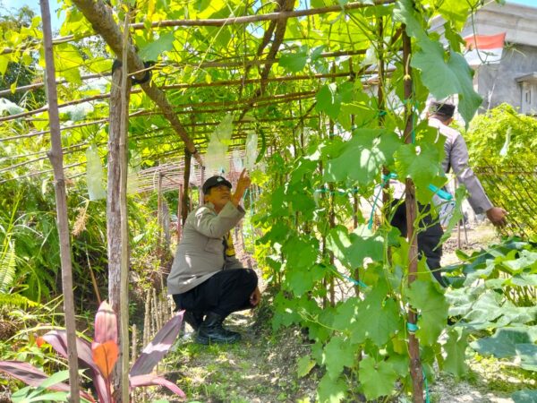 IMG 20250729 WA0027(1)