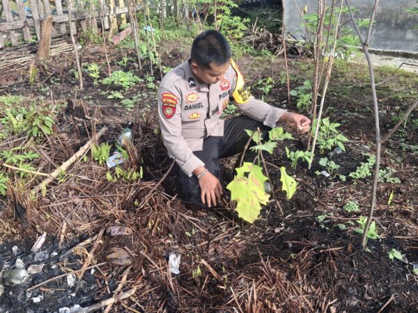 IMG 20251214 WA0006(2)