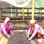 MIND ID Bina Lebih dari 10.000 UMKM