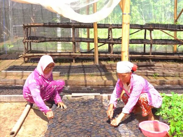 MIND ID Bina Lebih dari 10.000 UMKM