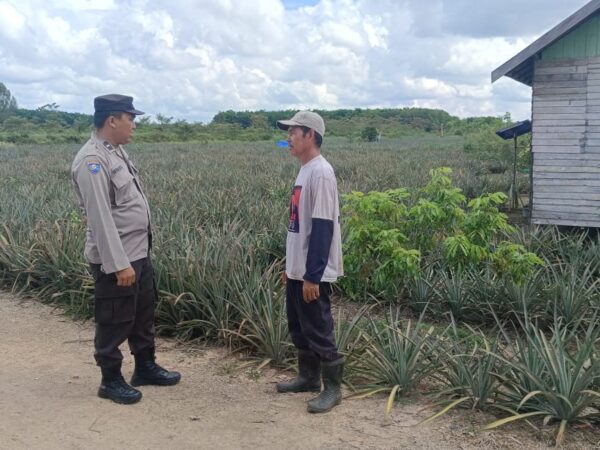 WhatsApp Image 2024 11 03 at 12.16.46