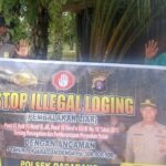 WhatsApp Image 2025 11 24 at 13.31.26