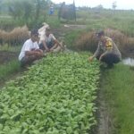 WhatsApp Image 2025 11 26 at 09.59.03