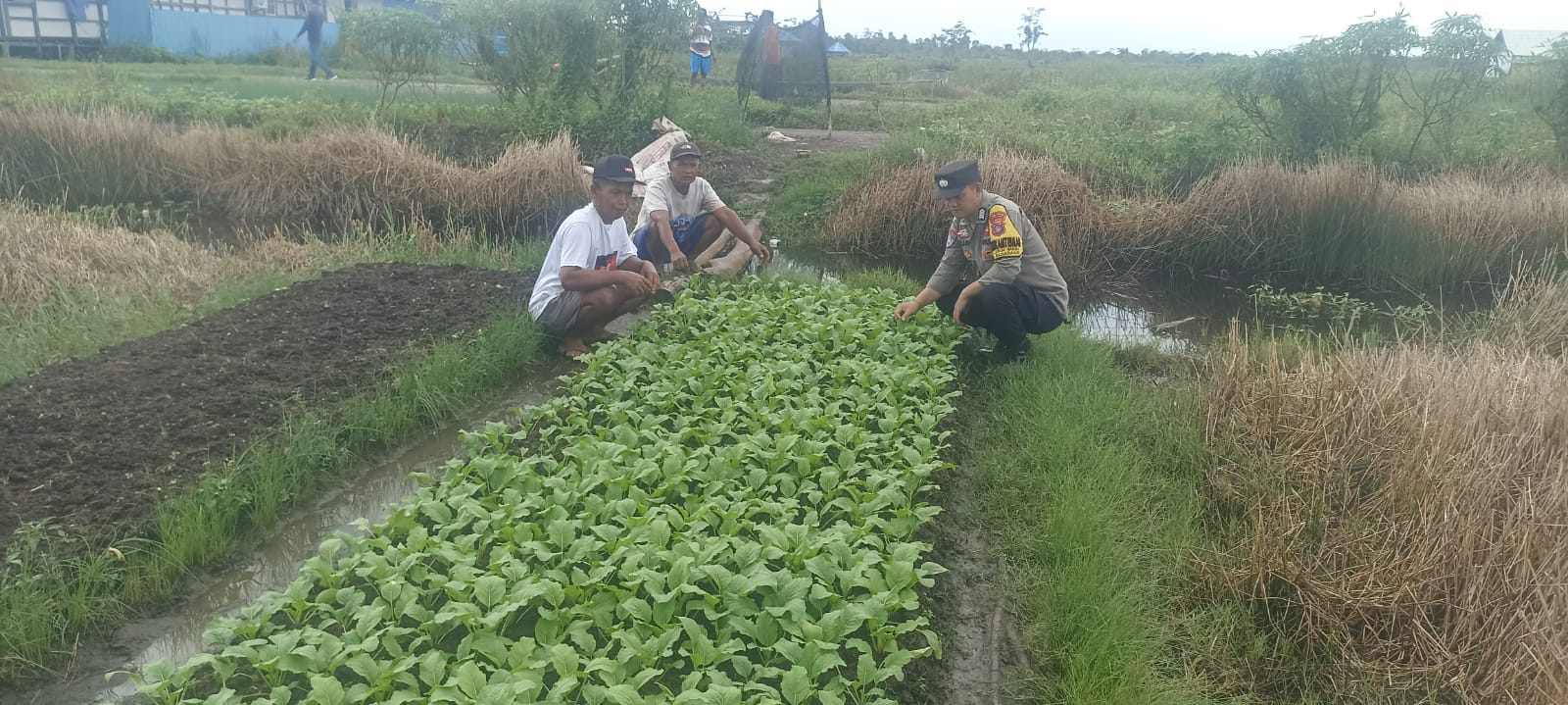 WhatsApp Image 2025 11 26 at 09.59.03