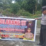 WhatsApp Image 2025 12 03 at 11.08.54