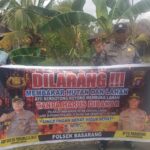 WhatsApp Image 2025 12 06 at 11.13.47 (2)