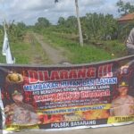 WhatsApp Image 2026 01 05 at 11.25.08