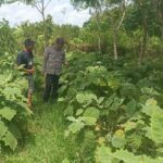 WhatsApp Image 2026 01 16 at 10.00.32