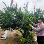 WhatsApp Image 2026 02 01 at 09.34.49