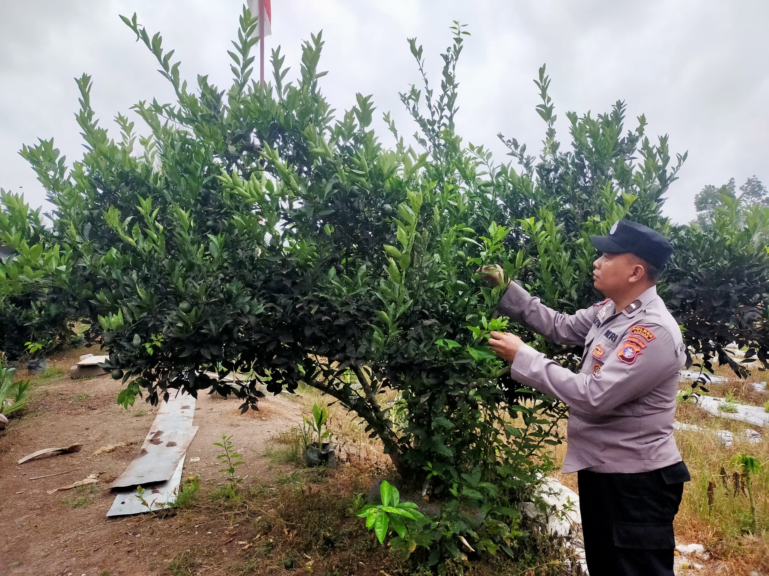 WhatsApp Image 2026 02 01 at 09.34.49