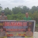 WhatsApp Image 2026 02 01 at 11.27.52