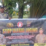 WhatsApp Image 2026 02 01 at 14.34.04