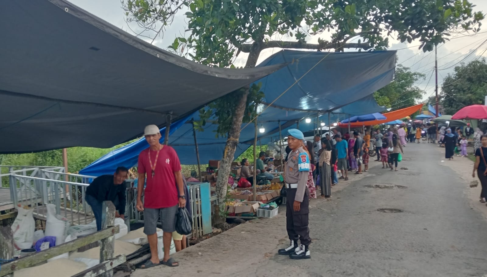 WhatsApp Image 2026 02 01 at 18.42.13