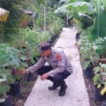 WhatsApp Image 2026 02 02 at 09.43.11