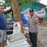 WhatsApp Image 2026 02 03 at 10.27.04