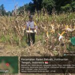 WhatsApp Image 2026 02 03 at 12.13.43