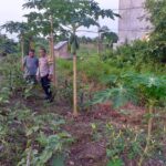 WhatsApp Image 2026 02 03 at 14.46.45