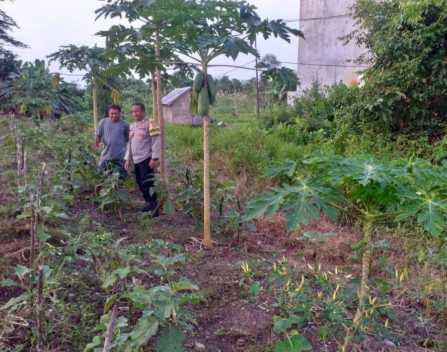 WhatsApp Image 2026 02 03 at 14.46.45