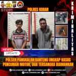 WhatsApp Image 2026 02 03 at 19.46.03