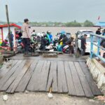 WhatsApp Image 2026 02 03 at 20.21.01