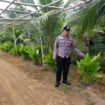 WhatsApp Image 2026 02 04 at 09.12.43