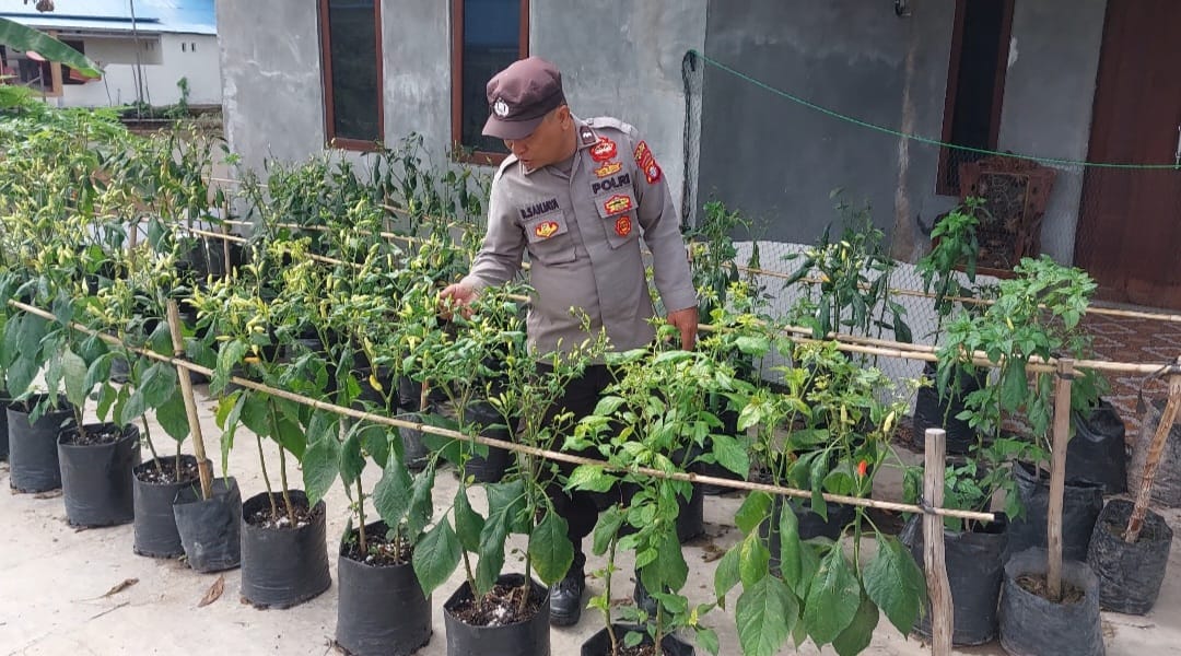 WhatsApp Image 2026 02 05 at 08.02.19