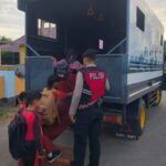 WhatsApp Image 2026 02 05 at 13.17.58