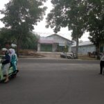 WhatsApp Image 2026 02 06 at 06.49.25