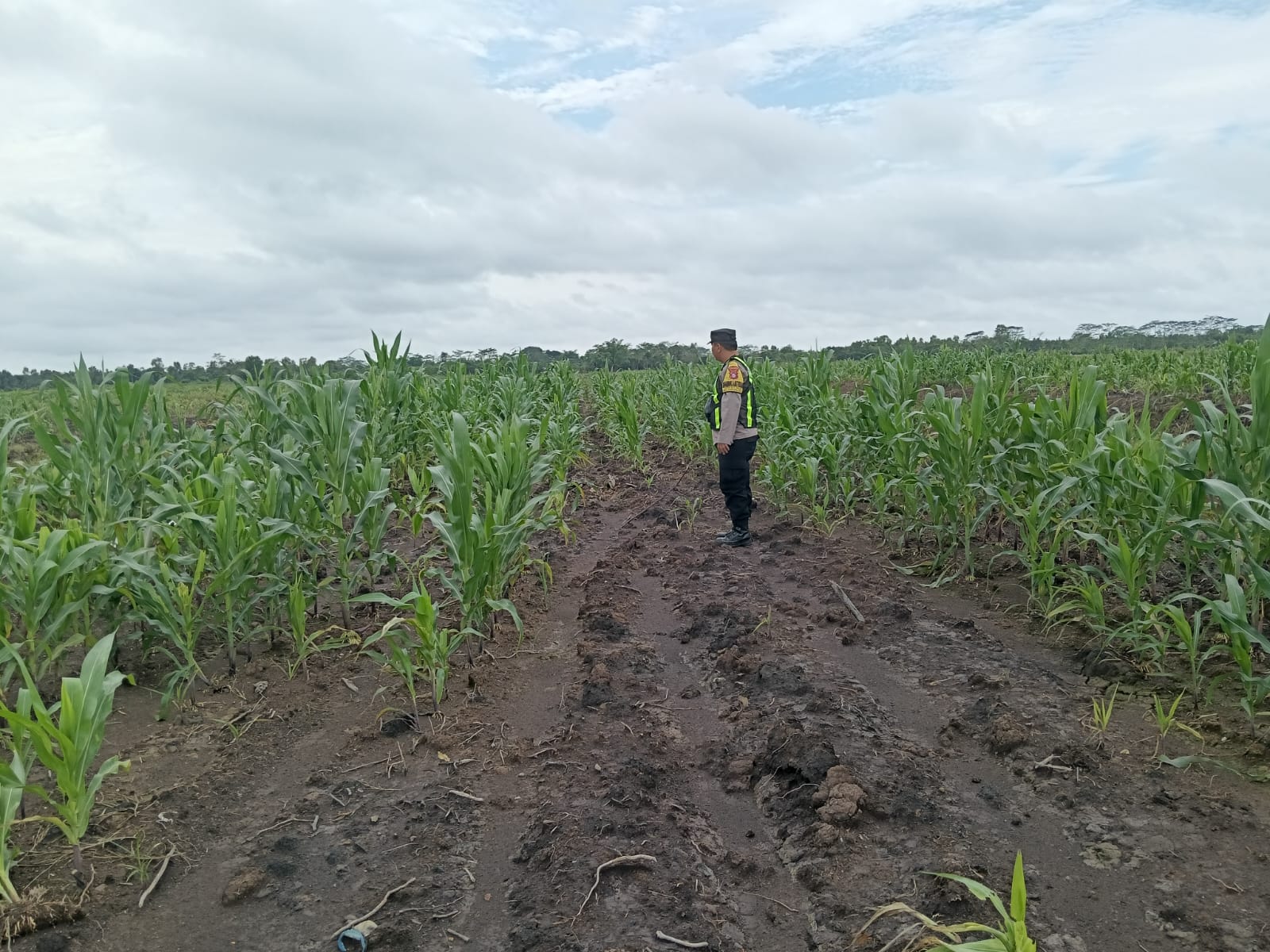 WhatsApp Image 2026 02 06 at 11.45.18 (2)