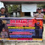 WhatsApp Image 2026 02 06 at 18.28.41