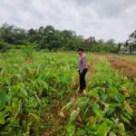 WhatsApp Image 2026 02 07 at 08.33.22