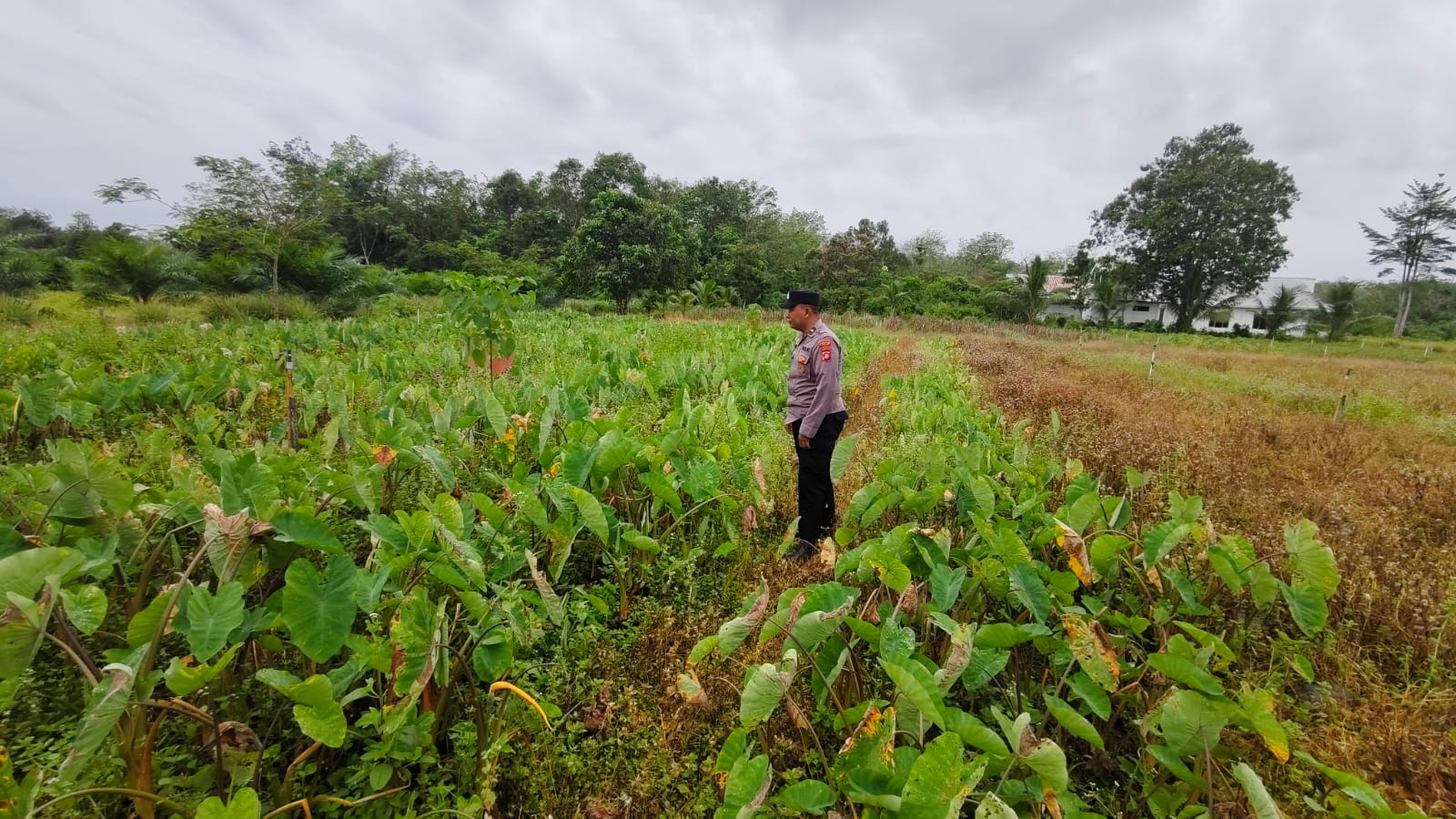 WhatsApp Image 2026 02 07 at 08.33.22