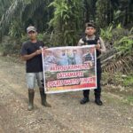 WhatsApp Image 2026 02 07 at 11.32.53