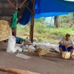 WhatsApp Image 2026 02 07 at 13.59.23