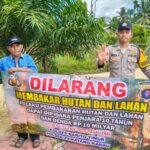 WhatsApp Image 2026 02 08 at 09.57.07