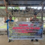 WhatsApp Image 2026 02 08 at 10.22.59